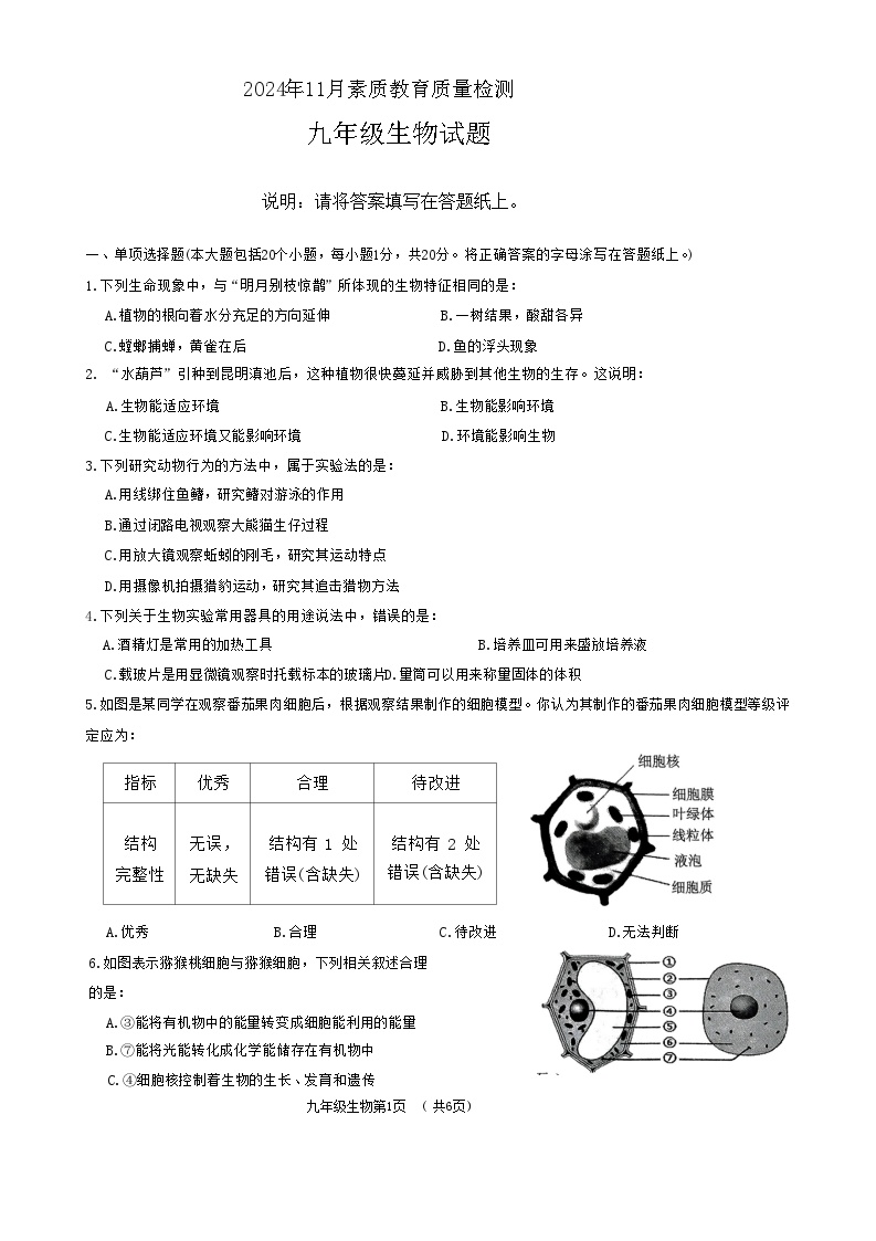 山东省菏泽市曹县2024-2025学年九年级上学期11月期中考试生物试题