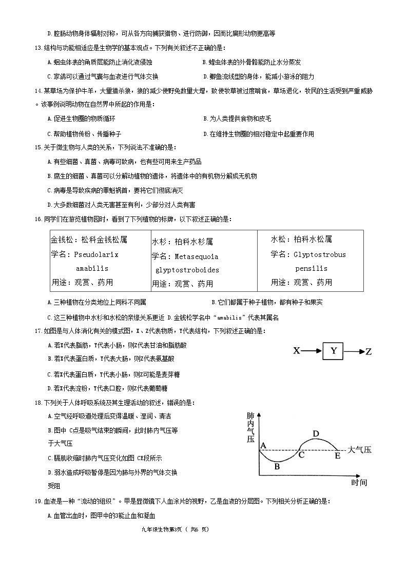 山东省菏泽市曹县2024-2025学年九年级上学期11月期中考试生物试题03