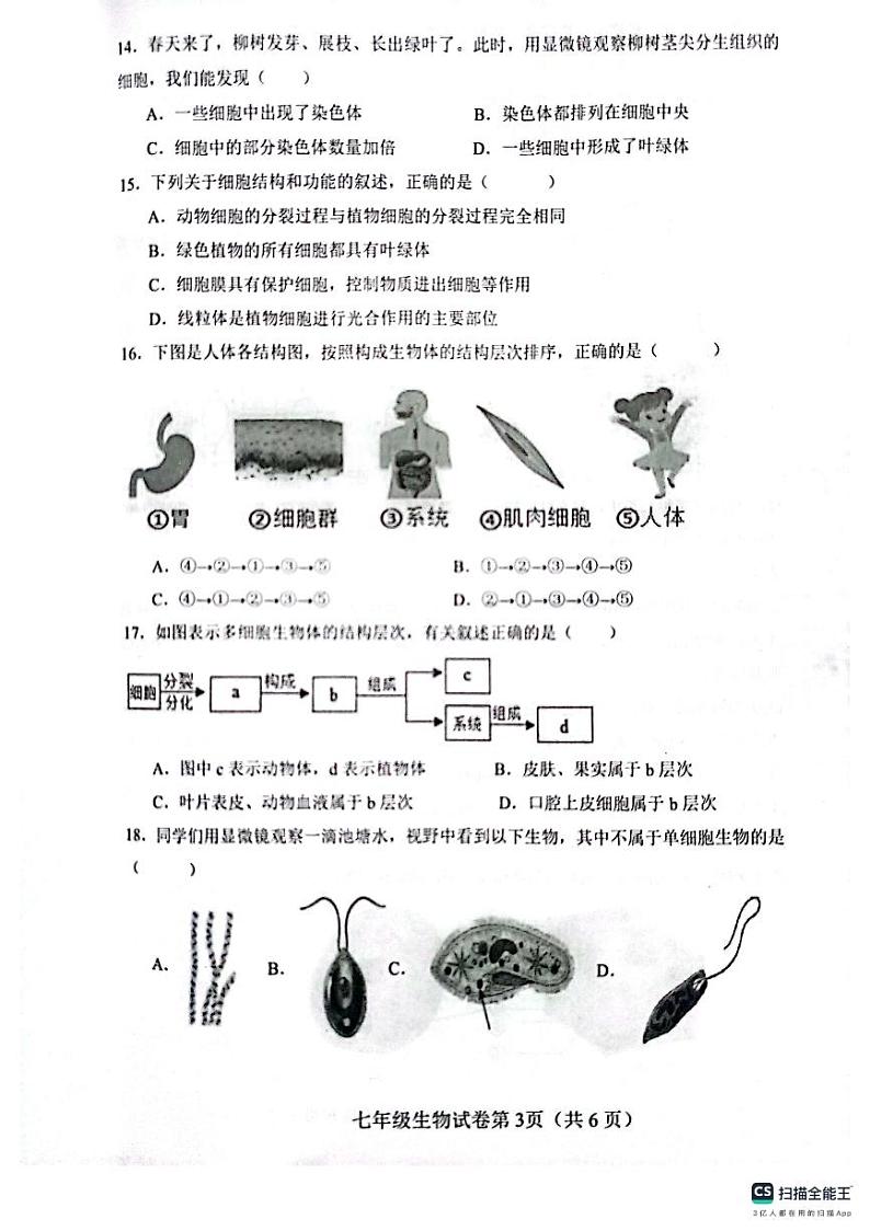 生物试卷(1)(1)第3页