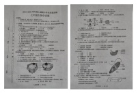 河南省漯河市临颍县2024-2025学年七年级上学期11月期中考试生物试题