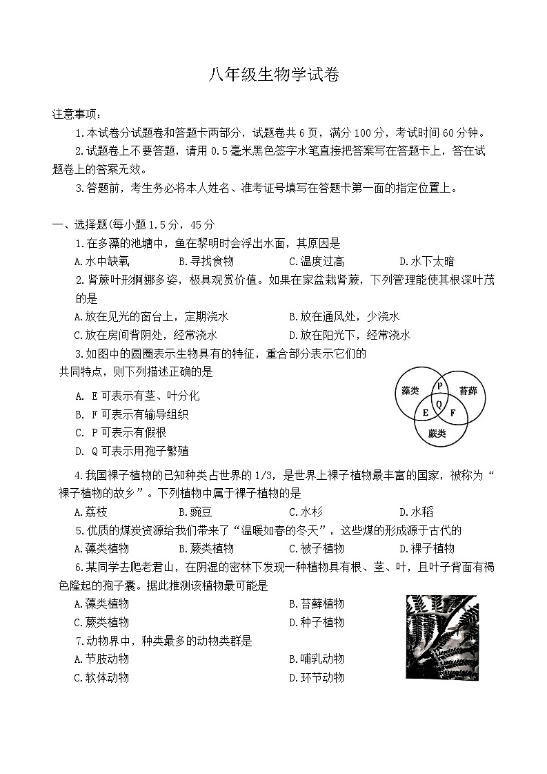 河南省洛阳市西工区2024-2025学年八年级上学期期中考试生物试卷01