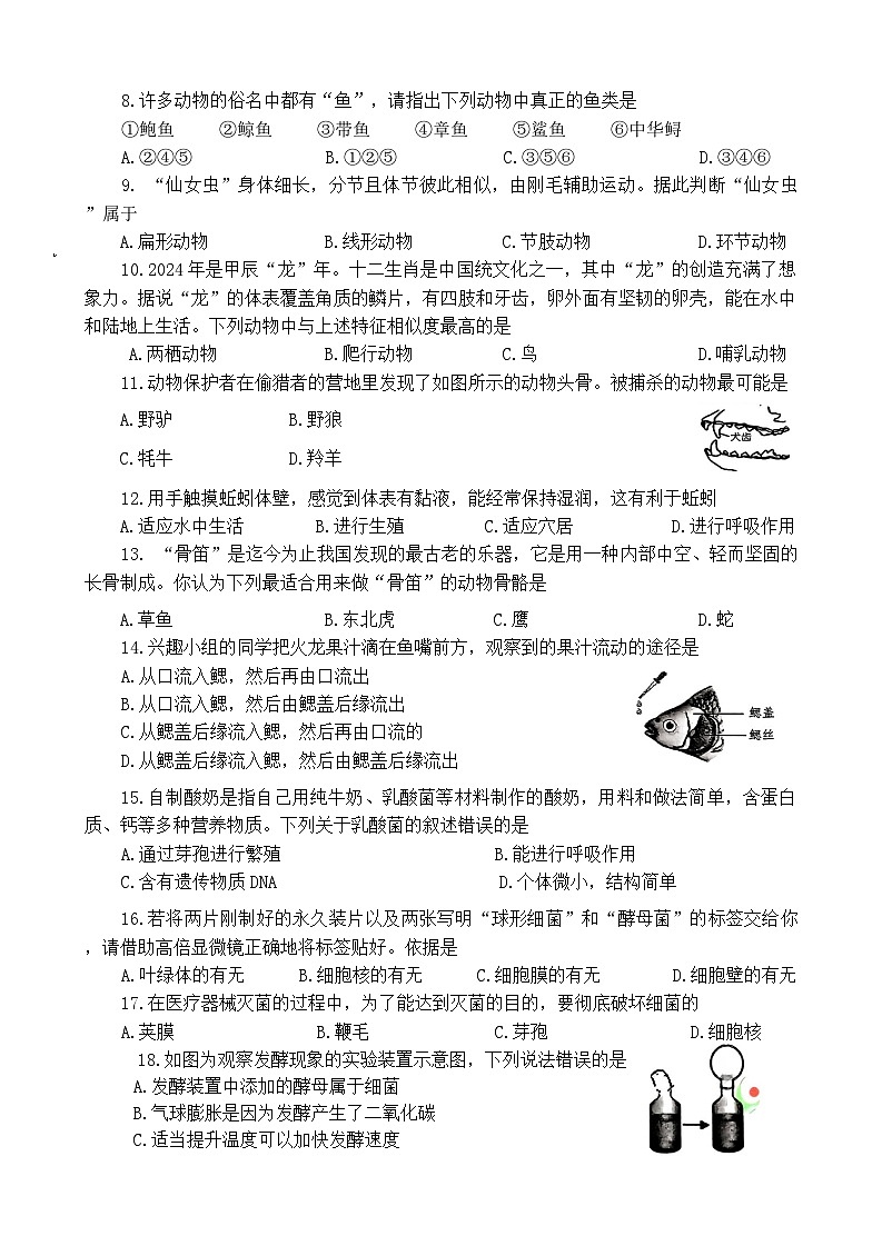 河南省洛阳市西工区2024-2025学年八年级上学期期中考试生物试卷02