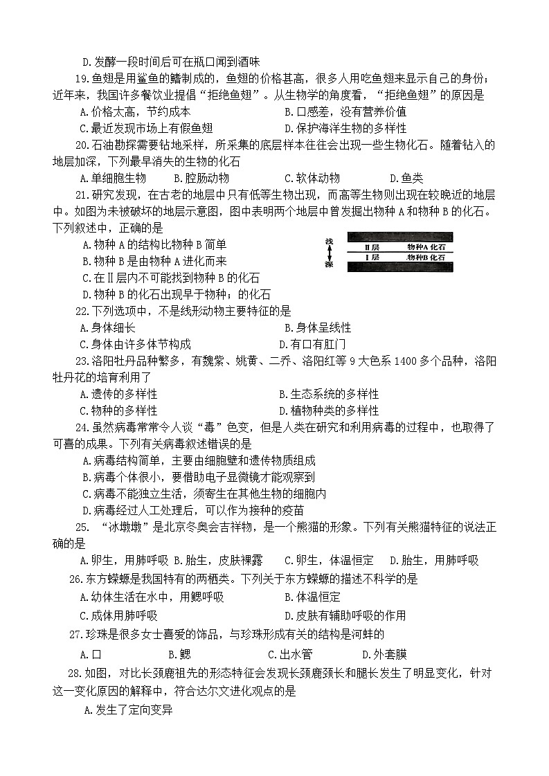 河南省洛阳市西工区2024-2025学年八年级上学期期中考试生物试卷03