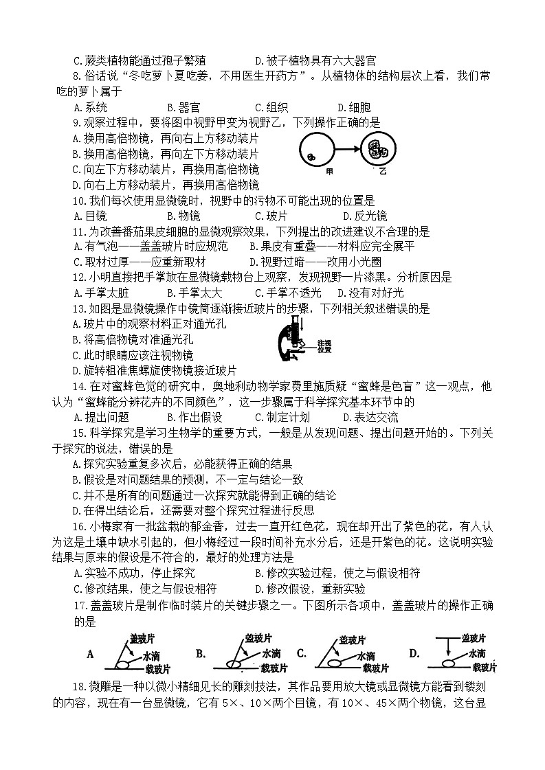 河南省洛阳市西工区2024-2025学年七年级上学期期中考试生物试卷02