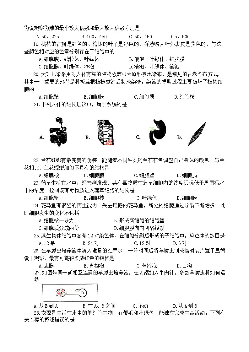 河南省洛阳市西工区2024-2025学年七年级上学期期中考试生物试卷03
