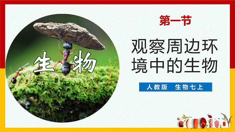 人教版(2024)七年级生物上册第一单元1.1观察周边环境中的生物精品ppt课件第1页