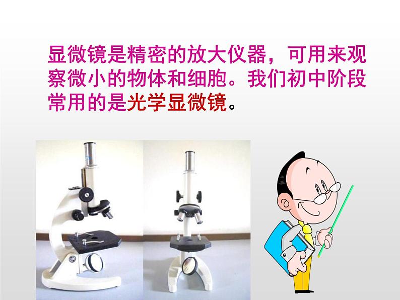 人教版(2024)七年级生物上册第一单元2.1学习使用显微镜精品ppt课件05