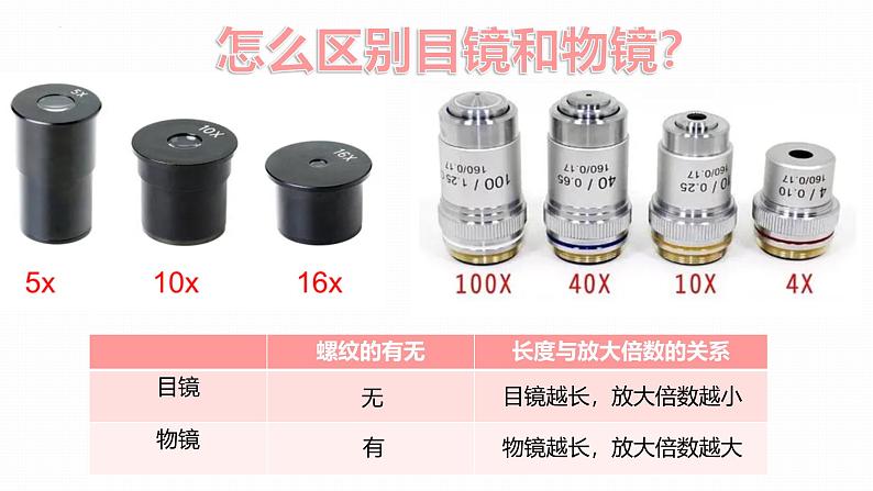 人教版(2024)七年级生物上册第一单元2.1学习使用显微镜精品课件第6页