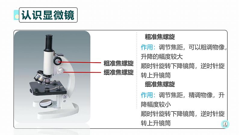 人教版(2024)七年级生物上册第一单元2.1学习使用显微镜精品课件第8页
