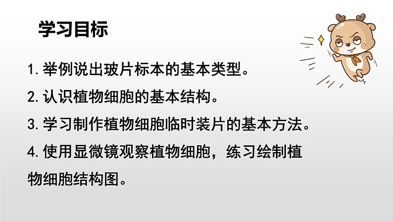 人教版(2024)七年级生物上册第一单元2.2植物细胞ppt课件02