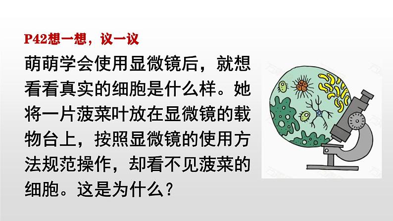 人教版(2024)七年级生物上册第一单元2.2植物细胞ppt课件03