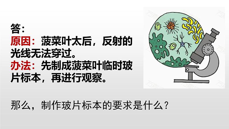 人教版(2024)七年级生物上册第一单元2.2植物细胞ppt课件04