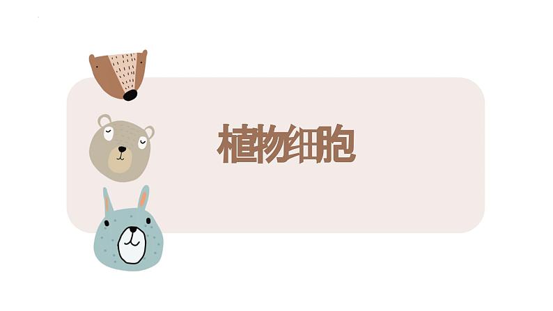 人教版(2024)七年级生物上册第一单元2.2植物细胞课件01