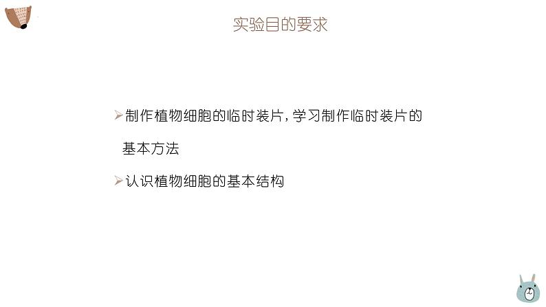 人教版(2024)七年级生物上册第一单元2.2植物细胞课件05