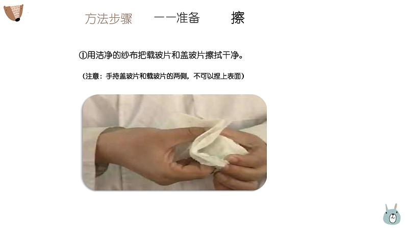 人教版(2024)七年级生物上册第一单元2.2植物细胞课件07