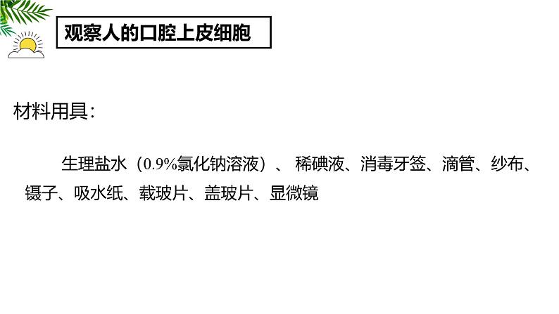 人教版(2024)七年级生物上册第一单元2.3动物细胞ppt课件第7页