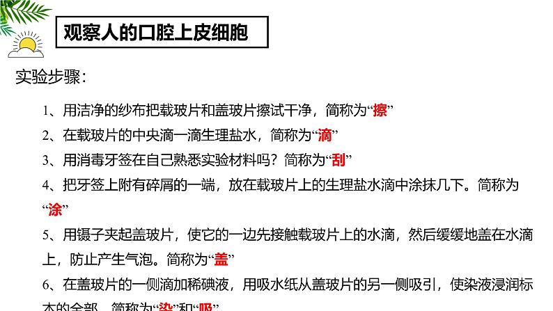 人教版(2024)七年级生物上册第一单元2.3动物细胞ppt课件第8页
