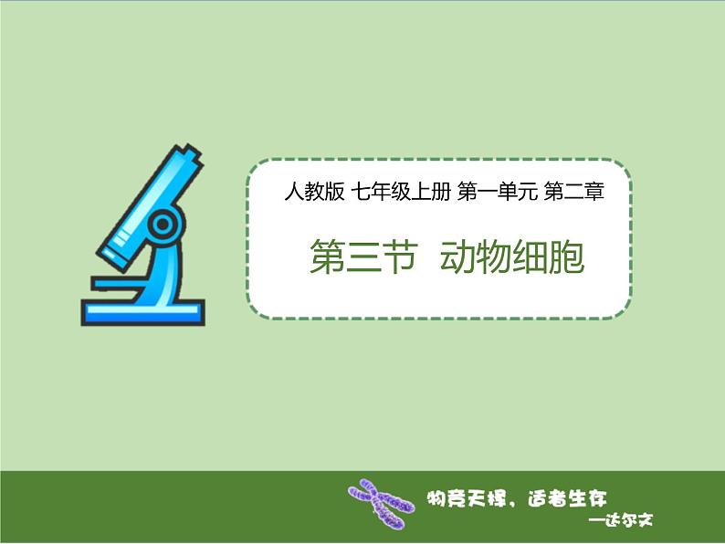 人教版(2024)七年级生物上册第一单元2.3动物细胞精品课件第1页