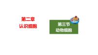 初中生物人教版（2024）七年级上册（2024）第三节 动物细胞课堂教学ppt课件