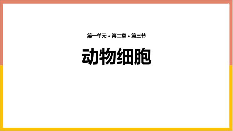 人教版(2024)七年级生物上册第一单元2.3动物细胞课件ppt01