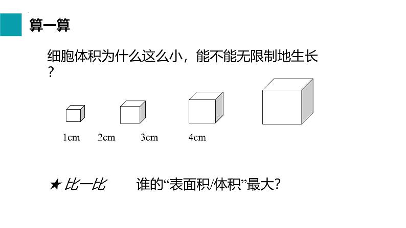 人教版(2024)七年级生物上册第一单元3.1细胞通过分裂产生新细胞ppt课件第7页