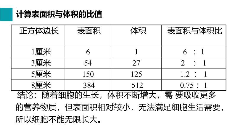 人教版(2024)七年级生物上册第一单元3.1细胞通过分裂产生新细胞ppt课件第8页