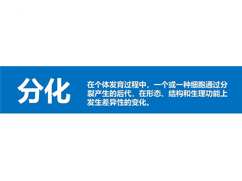 人教版(2024)七年级生物上册第一单元3.2动物体的结构层次ppt课件第5页