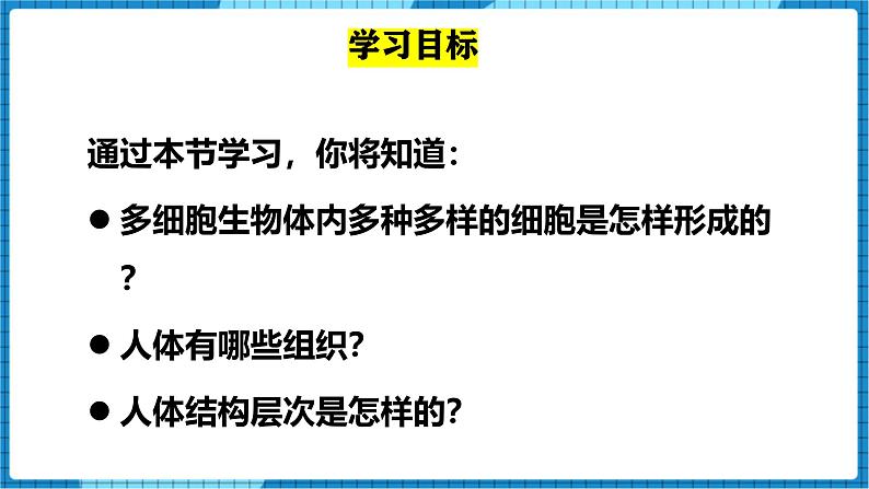 人教版(2024)七年级生物上册第一单元3.2动物体的结构层次精品ppt课件第2页