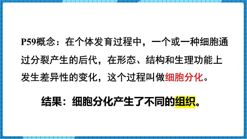 人教版(2024)七年级生物上册第一单元3.2动物体的结构层次精品ppt课件第6页