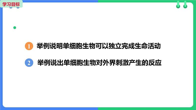 人教版(2024)七年级生物上册第一单元3.4单细胞生物课件02