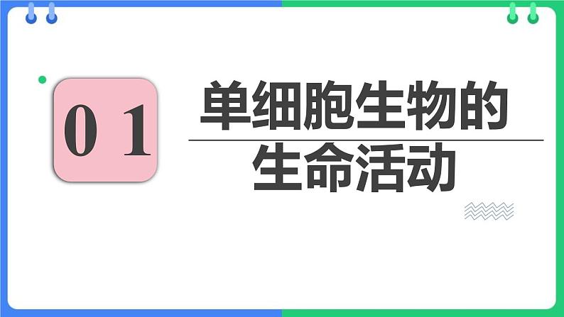 人教版(2024)七年级生物上册第一单元3.4单细胞生物课件03