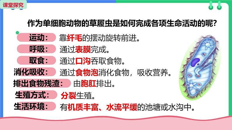 人教版(2024)七年级生物上册第一单元3.4单细胞生物课件06