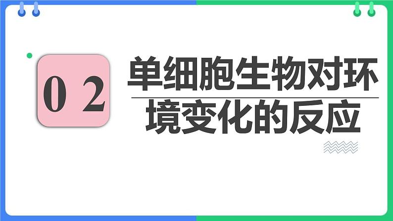人教版(2024)七年级生物上册第一单元3.4单细胞生物课件08