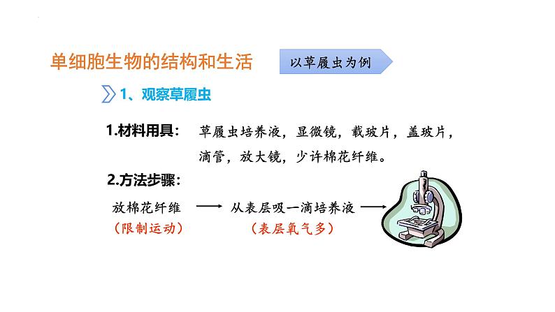 人教版(2024)七年级生物上册第一单元3.4单细胞生物课件ppt第6页