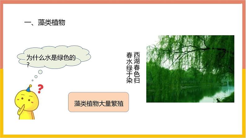 人教版(2024)七年级生物上册第二单元1.1藻类、苔藓和蕨类ppt课件03