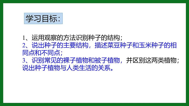 人教版(2024)七年级生物上册第二单元1.2种子植物ppt精品课件02