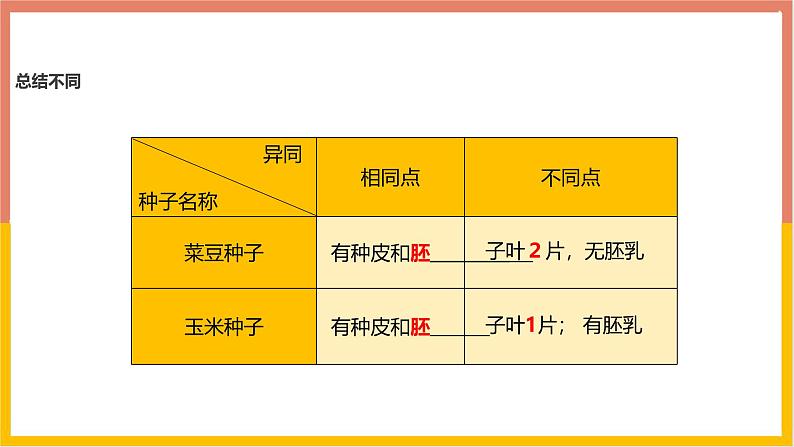 人教版(2024)七年级生物上册第二单元1.2种子植物ppt课件第6页
