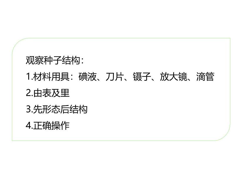 人教版(2024)七年级生物上册第二单元1.2种子植物ppt课件精品05
