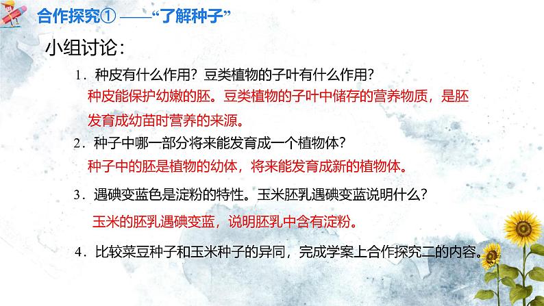 人教版(2024)七年级生物上册第二单元1.2种子植物精品课件08