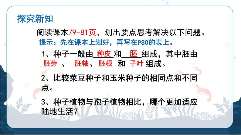 人教版(2024)七年级生物上册第二单元1.2种子植物精品课件ppt04