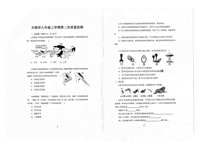 内蒙古兴安盟科尔沁右翼前旗第三中学2024-2025学年八年级上学期11月月考生物试题01
