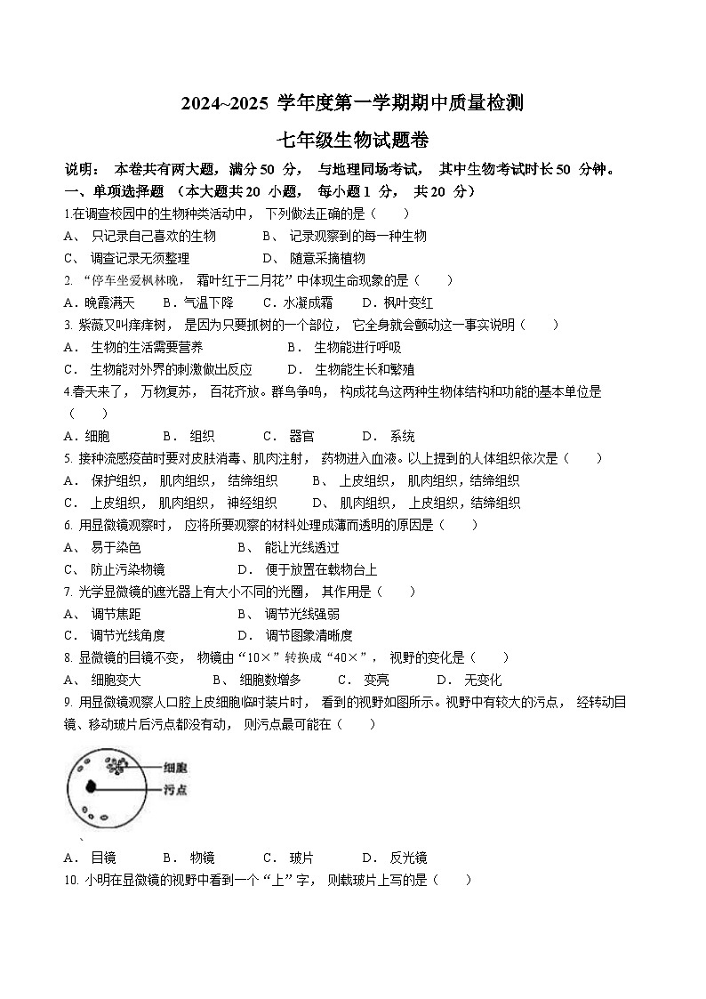 江西省赣州市大余县部分学校2024-2025学年七年级上学期期中生物试题(无答案)第1页