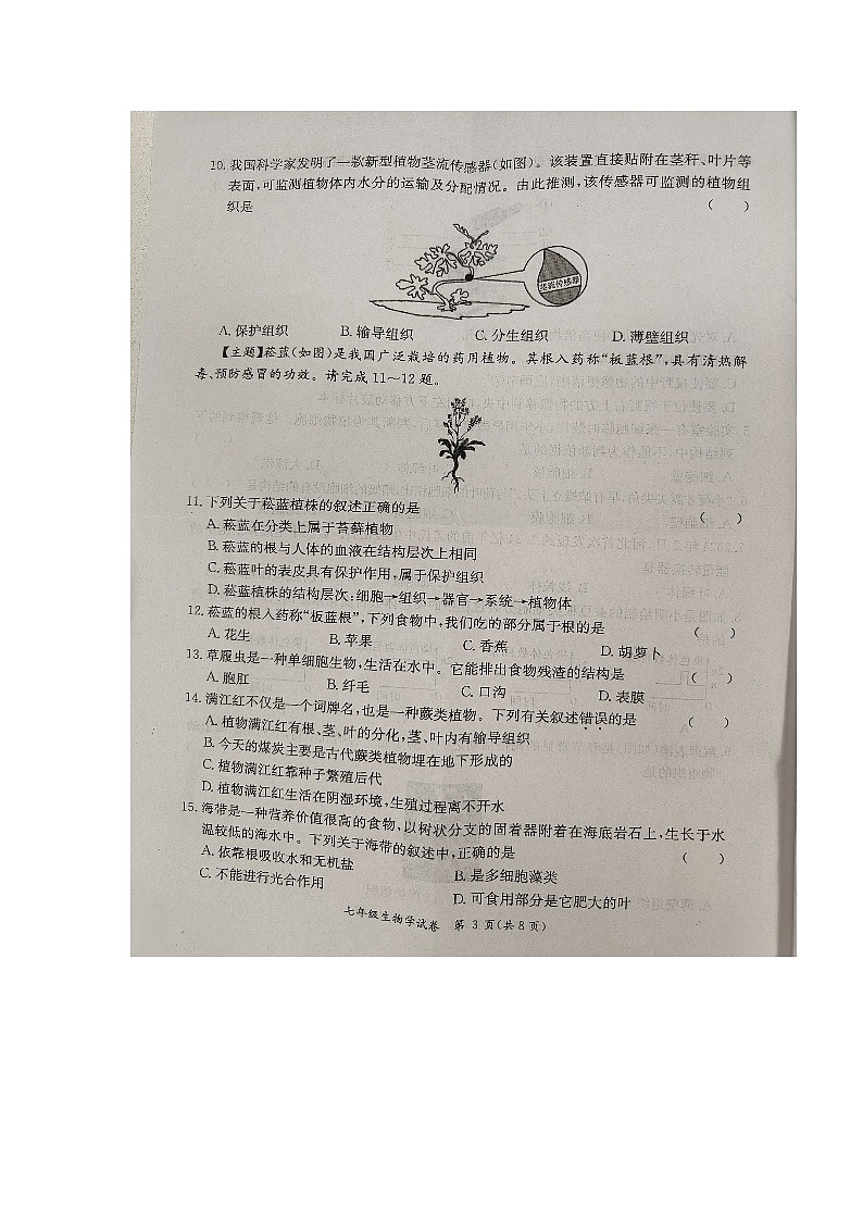 广东省阳江市阳西县2024-2025学年七年级上学期11月期中生物试题第3页
