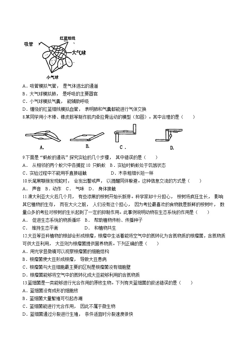 山东省临沂市罗庄区2024-2025学年八年级上学期期中生物试题(无答案)第2页