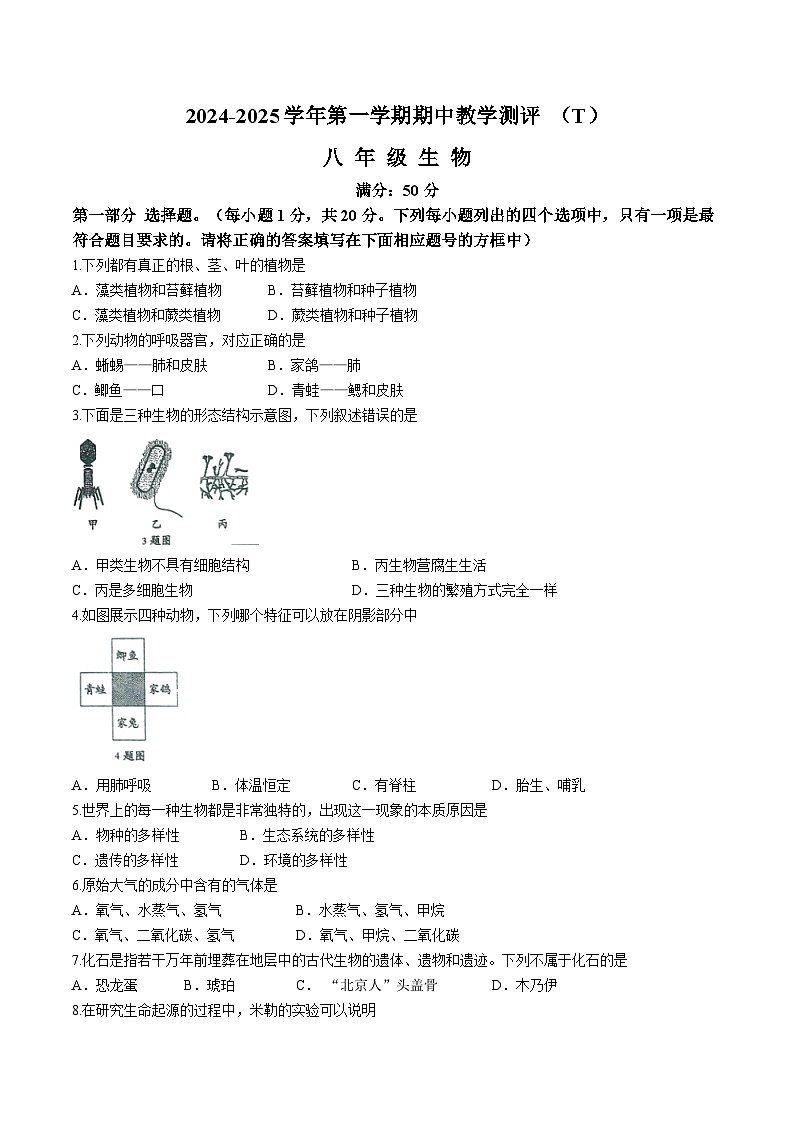 河南省周口市太康县2024-2025学年八年级上学期期中生物试题第1页