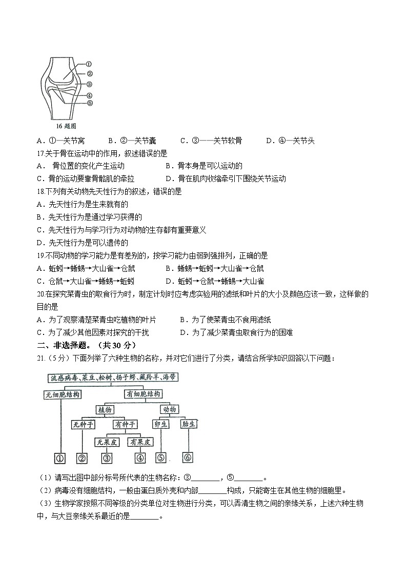 河南省周口市太康县2024-2025学年八年级上学期期中生物试题第3页