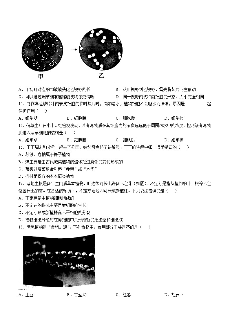 山东省德州市夏津县2024-2025学年七年级上学期期中生物试题第3页