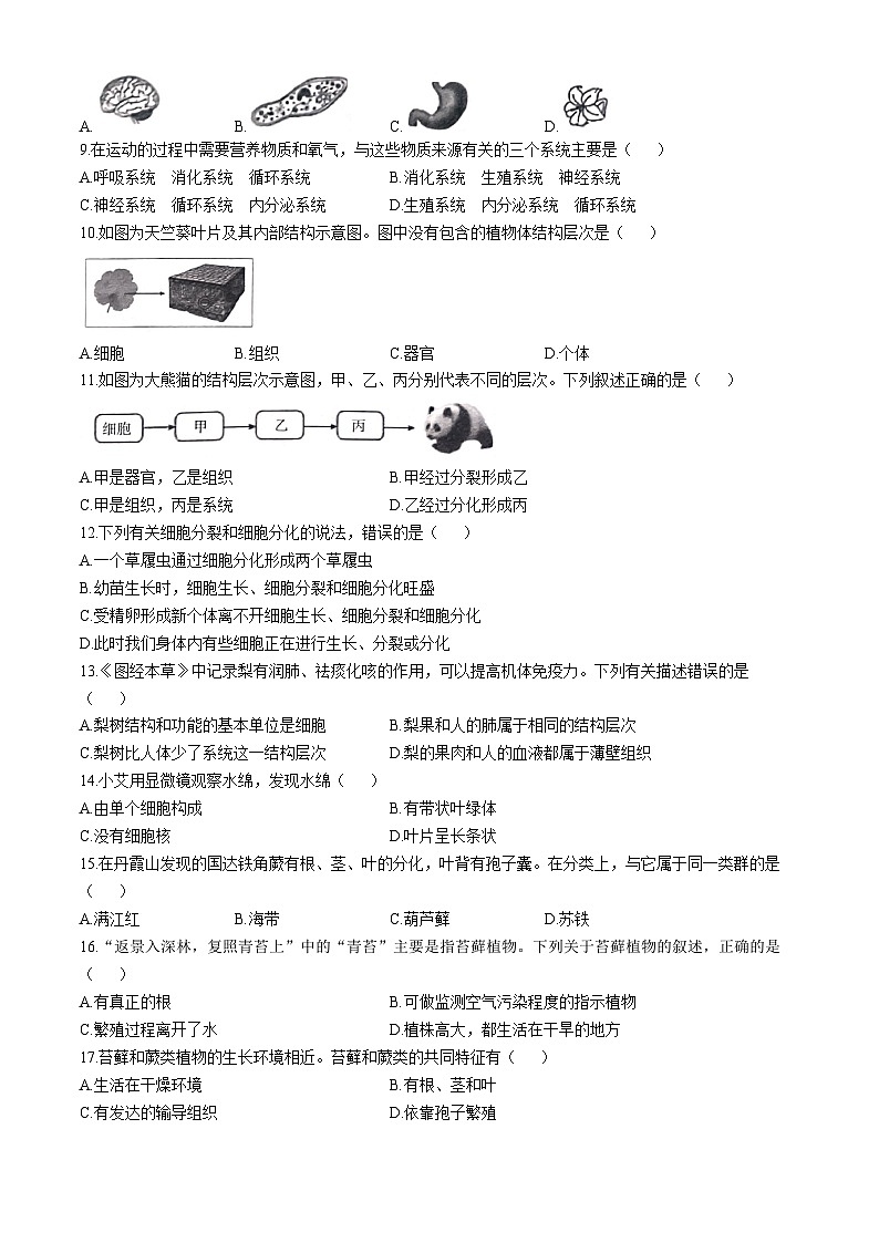 河北省邯郸市馆陶县2024-2025学年七年级上学期期中生物试题第2页