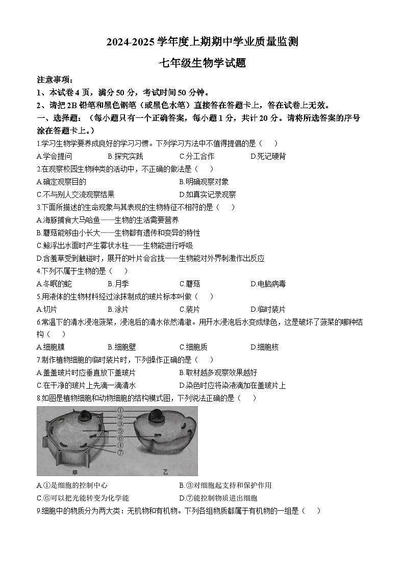河南省漯河市临颍县2024-2025学年七年级上学期期中生物试题01