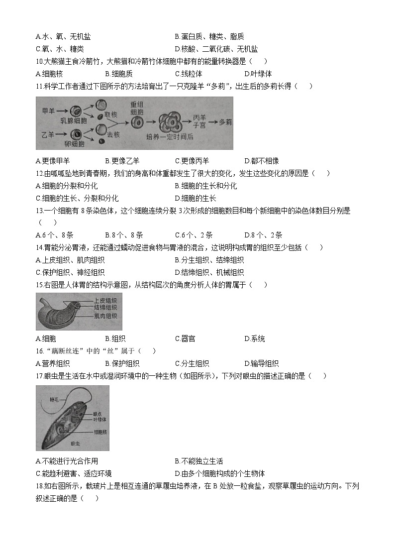 河南省漯河市临颍县2024-2025学年七年级上学期期中生物试题02